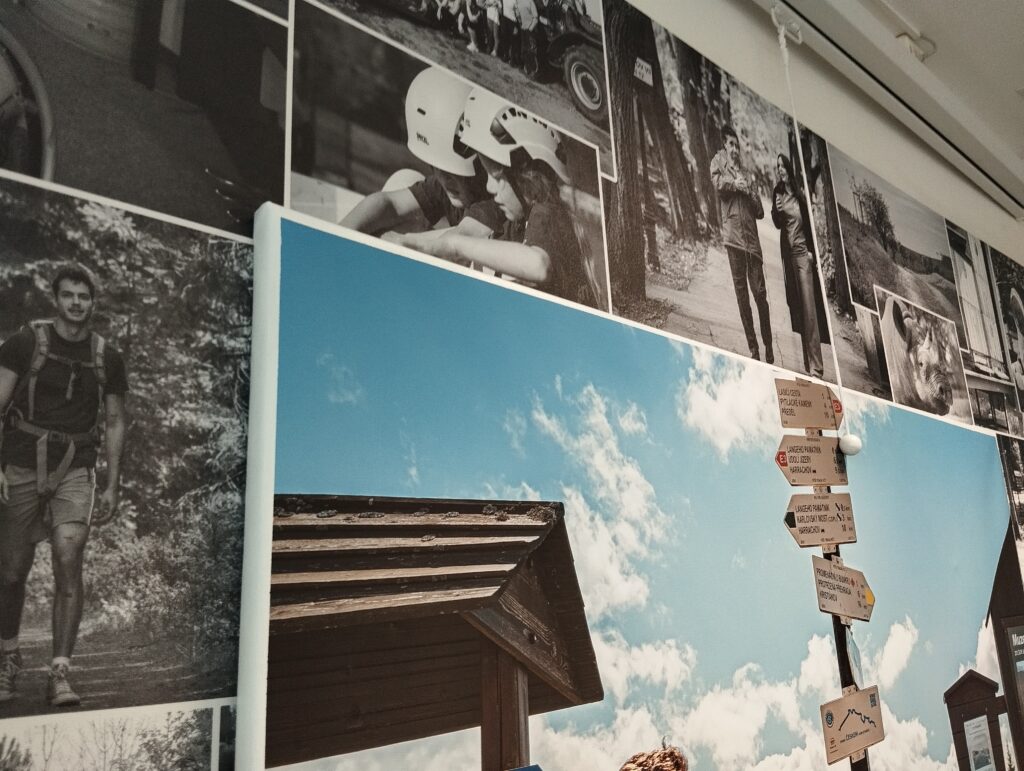 Lepení fototapety pro fotografa Milana Roubala